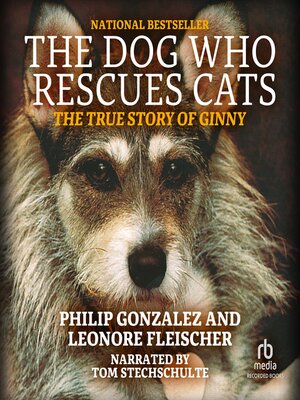 cover image of The Dog Who Rescues Cats